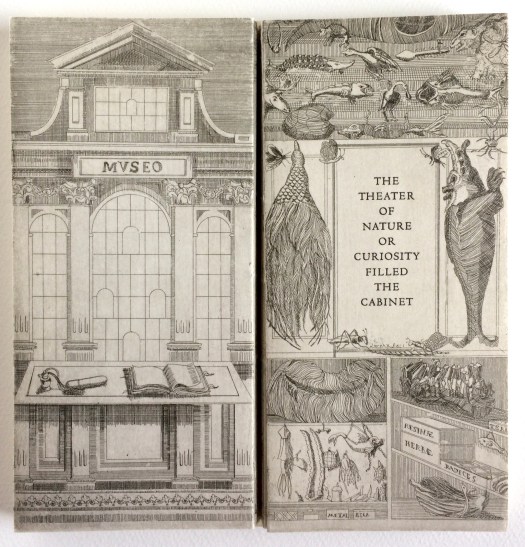 51809741-F098-4322-9B79-DEA4DBD8A150