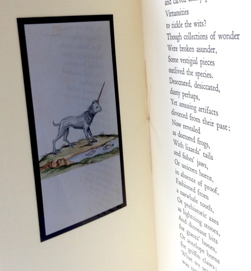 5F963536-40B2-4E1D-88B6-C18A0EAA4AC9