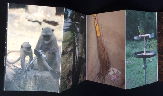 79A37E9C-1B99-4CC3-B29A-BC2B4C6CAD8C