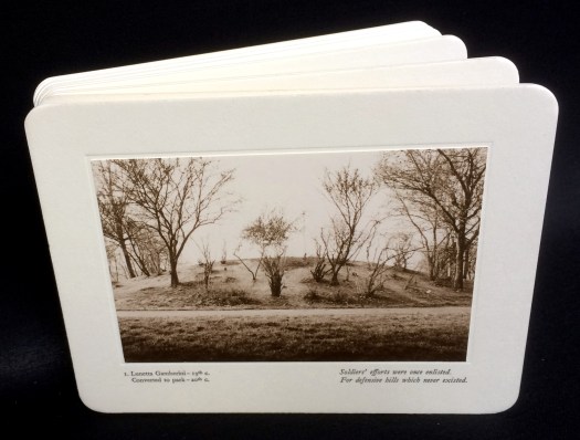 DE447B94-B8BC-4B20-A01D-1E141C1D89DC